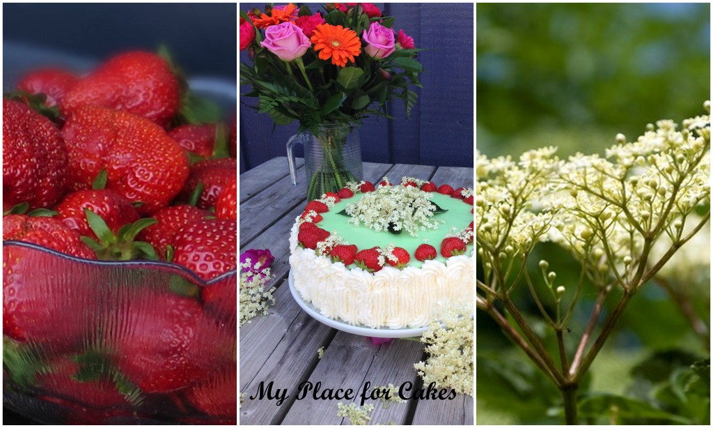rp_Collage-jordbær-hyldeblomst-1024×614.jpg