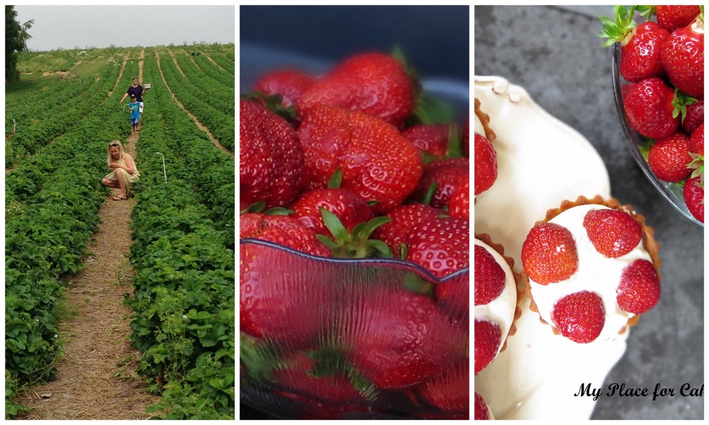 rp_collage-jordbærtærte-1024×614.jpg